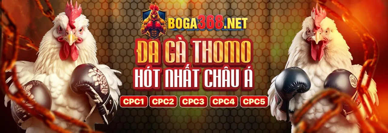 Chiến lược cá cược thể thao sv388.win