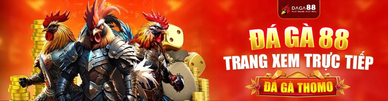 Đá Gà Trực Tuyến Hấp Dẫn tại Sowin
