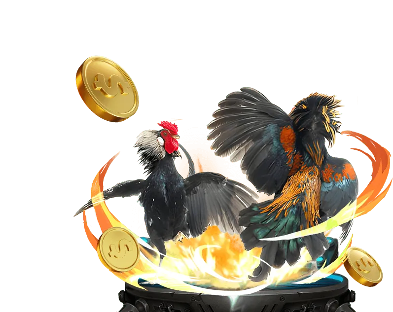 Đá gà trực tuyến sv388. win